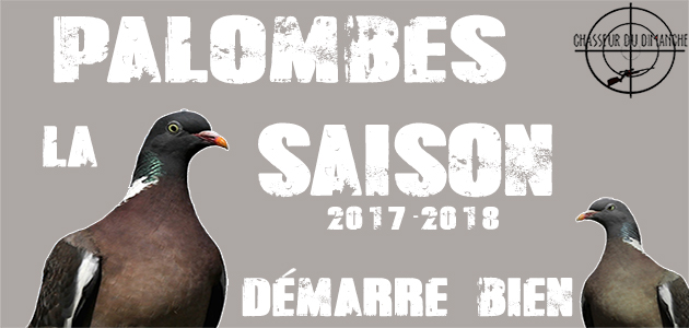 Vidéo de chasse à la palombe débuts saison 2017 2018